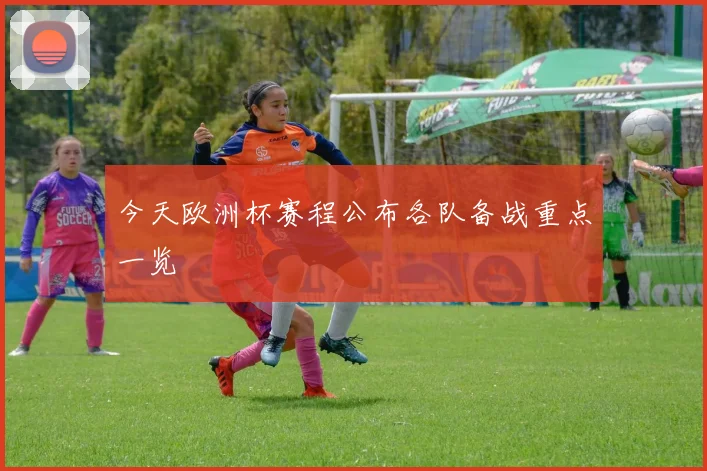 今天欧洲杯赛程公布各队备战重点一览