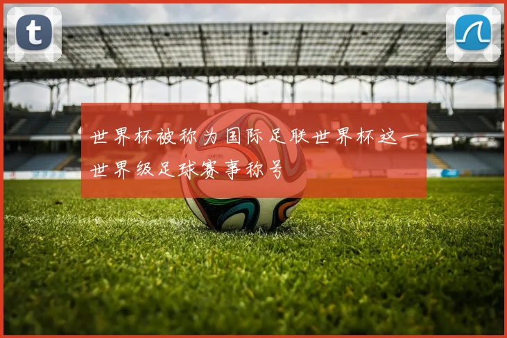 世界杯被称为国际足联世界杯这一世界级足球赛事称号