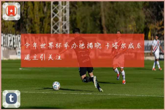 今年世界杯举办地揭晓 卡塔尔成东道主引关注