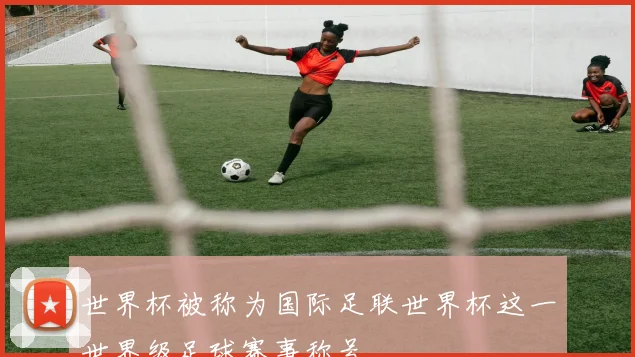 世界杯被称为国际足联世界杯这一世界级足球赛事称号