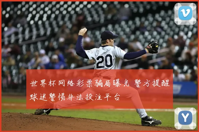 世界杯网络彩票骗局曝光 警方提醒球迷警惕非法投注平台