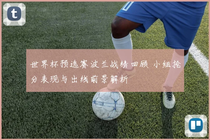世界杯预选赛波兰战绩回顾 小组抢分表现与出线前景解析