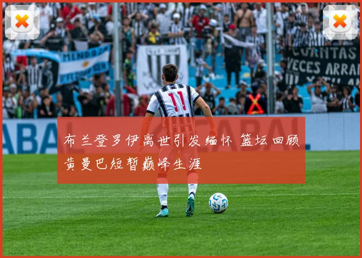 布兰登罗伊离世引发缅怀 篮坛回顾黄曼巴短暂巅峰生涯