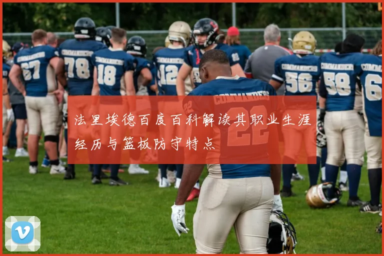 法里埃德百度百科解读其职业生涯经历与篮板防守特点