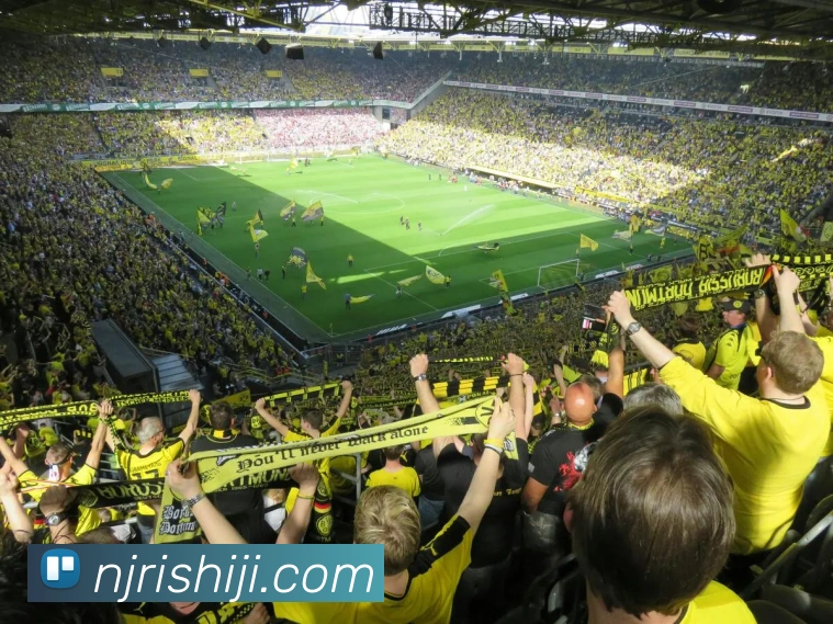 乐冠国际品牌故事