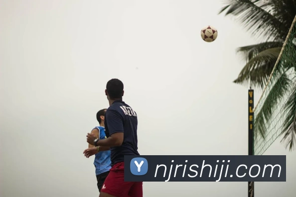 多媒体互动体验